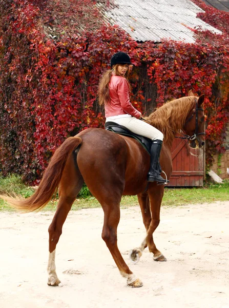 Jovem Mulher Seu Belo Cavalo Marrom — Fotografia de Stock