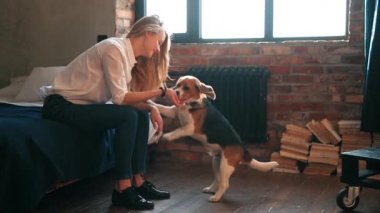 Evde köpekle oynayan güzel genç bir kadın.