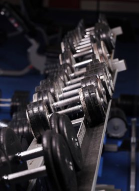 Farklı ağırlıklardan farklı dambıllarla kurulmuş bir düzenek.