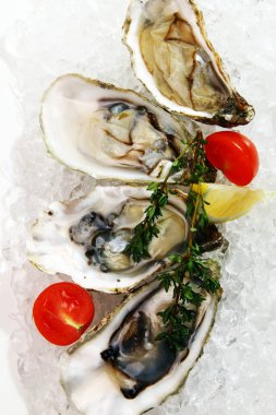 Limon ve domatesli taze istiridye. 