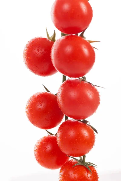 Świeże Pomidory Wiśniowe Gałęzi Wyizolowanej Białym Tle — Zdjęcie stockowe