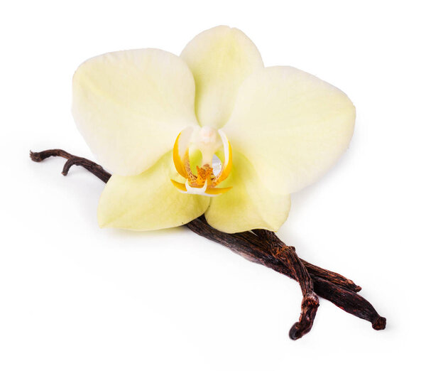 Ванильная палка на белом фоне