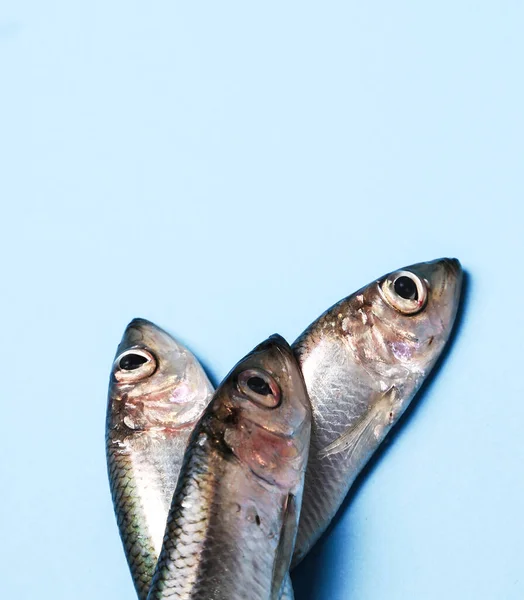 Leckerer Roher Fisch Auf Dem Tisch — Stockfoto