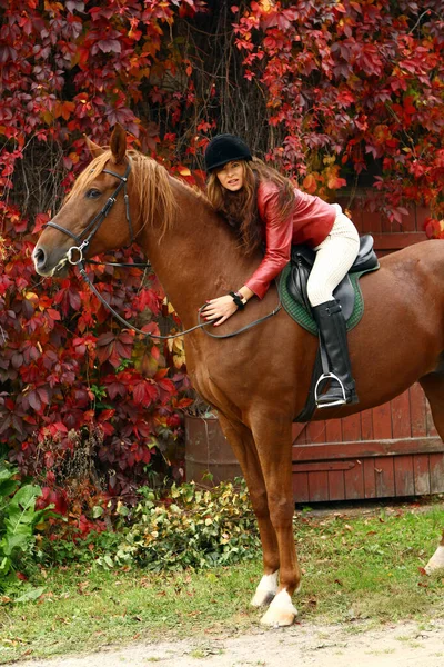 Young Woman Her Beautiful Brown Horse Stock Photo