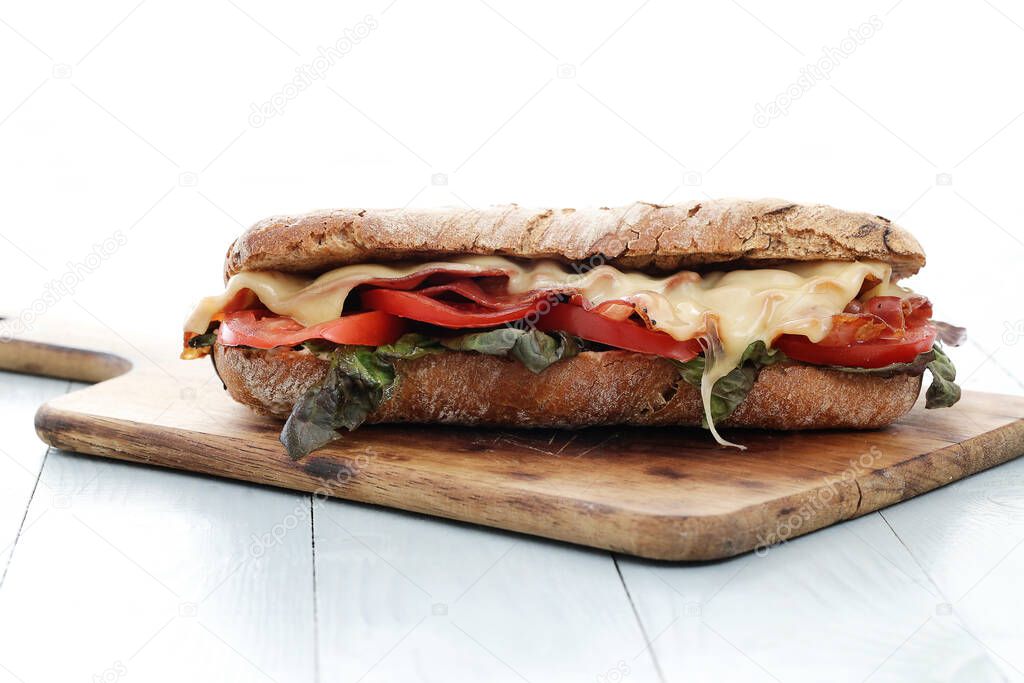 Delicious, long sandwich with cheese