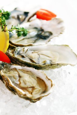 Limon ve domatesli taze istiridye. 