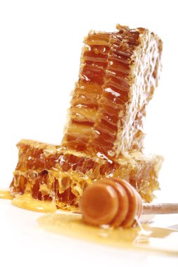 Taze bal peteklerini kapatın.