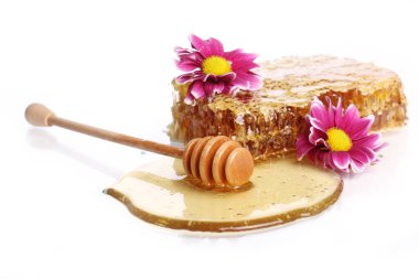 Taze bal peteklerini kapatın.