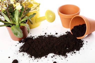 Bahçe, ekipman. Bahçe işleri için araçlar