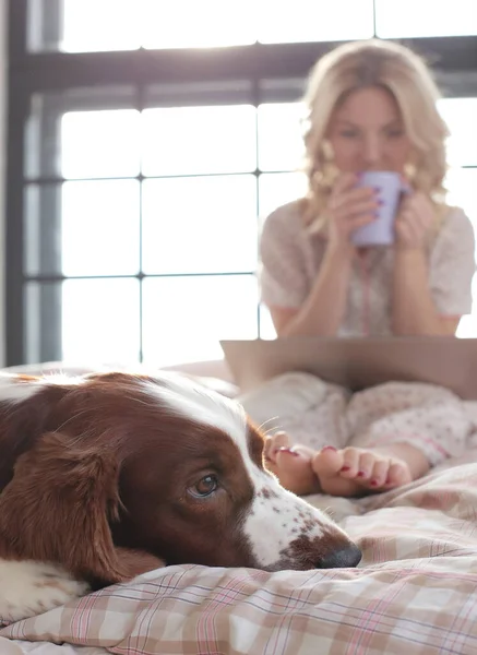 Stile Vita Casa Ragazza Con Cane Letto — Foto Stock