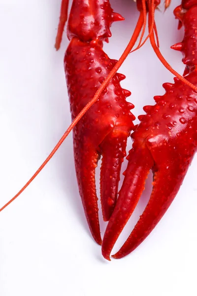 Comida Delicioso Lagostim Fundo Branco — Fotografia de Stock