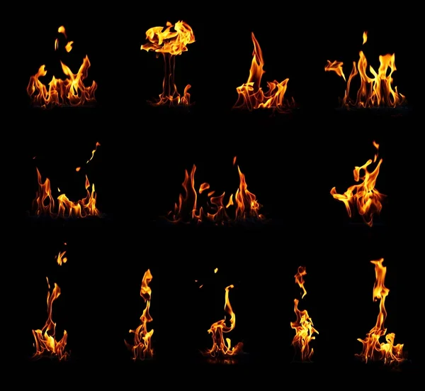 Collection Different Fire Flames Black Background — Stock Photo, Image