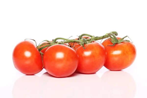 Verse Tomaten Witte Achtergrond — Stockfoto