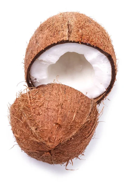 白色背景的椰子 — 图库照片