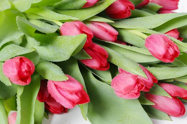 Flores Primavera Lindas Tulipas Vermelhas — Fotografia de Stock