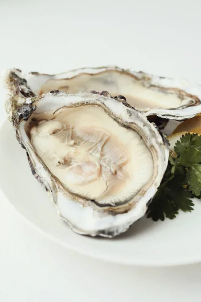 Seafood Delicious Oyster Lemon — Stock Photo, Image