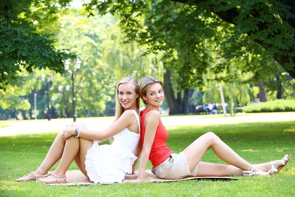 hoş çok eğlendiği parkta iki kız portresi. Onlar konuşuyor, tartışıyor, birbirlerine gülüyor ve gerçekten iyi eğlenceler