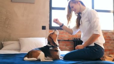 Evde köpekle oynayan güzel genç bir kadın.