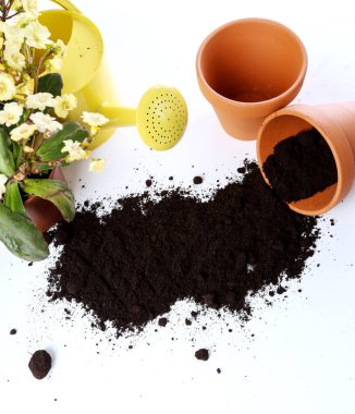 Bahçe, ekipman. Bahçe işleri için araçlar