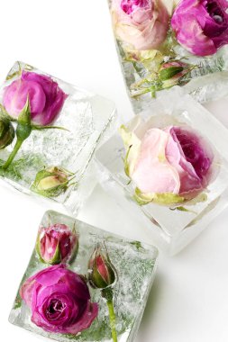 Buz küpünde donmuş gül