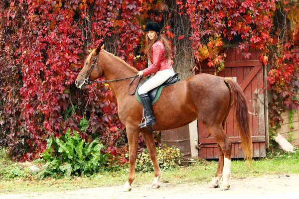 Kadın ve güzel kahverengi atı