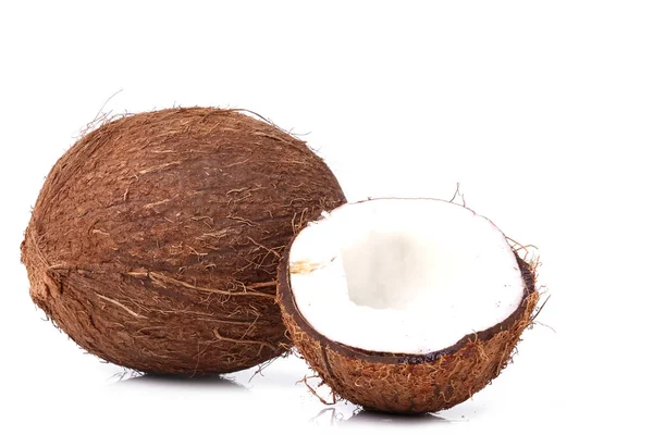 白色背景的椰子 — 图库照片