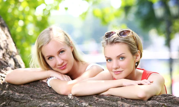 Ritratto Due Ragazze Che Stanno Divertendo Molto Nel Parco Parlano — Foto Stock