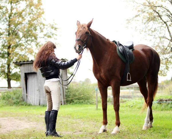 Женщина Красивая Коричневая Лошадь — стоковое фото