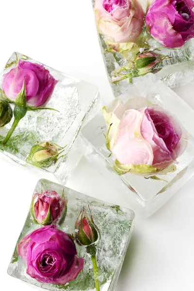 Buz küpünde donmuş gül