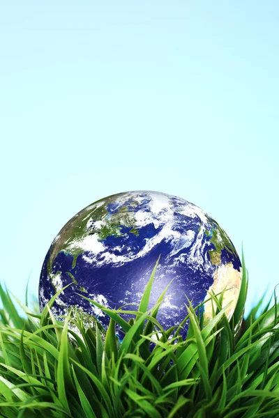 草中的地球球 — 图库照片