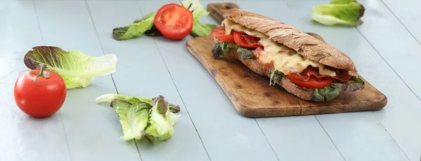 Heerlijke Lange Sandwich Met Kaas — Stockfoto
