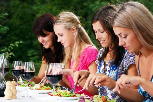Group Beautiful Women Drinking Wine Nature Stock Picture