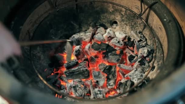 Кадри Вогню Вугіллям — стокове відео
