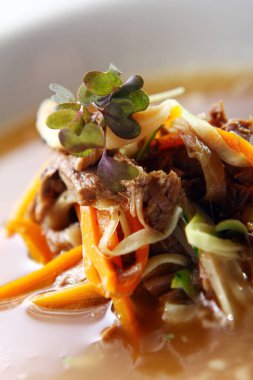 Taze gurme çorbası, et ve yeşil.