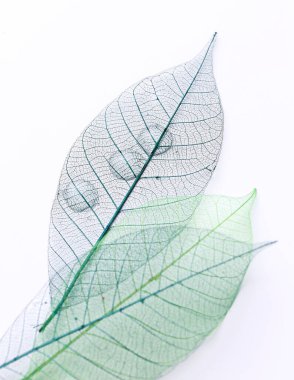 Doku, detaylar. Yaprak masanın üstünde.