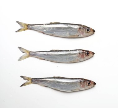 Lezzetli, masada çiğ balık.