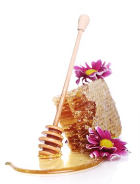 Taze bal peteklerini kapatın.