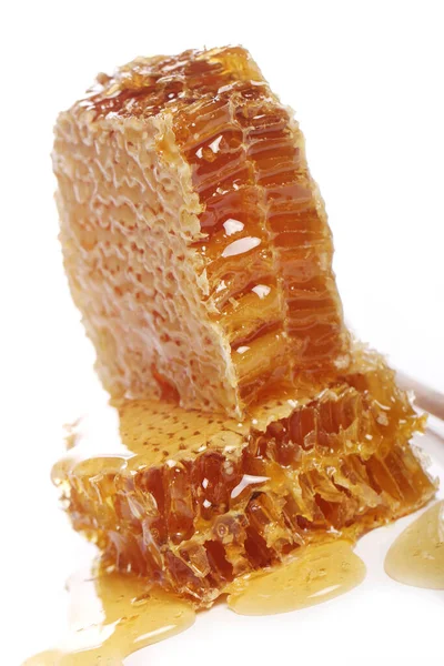 Taze bal peteklerini kapatın.