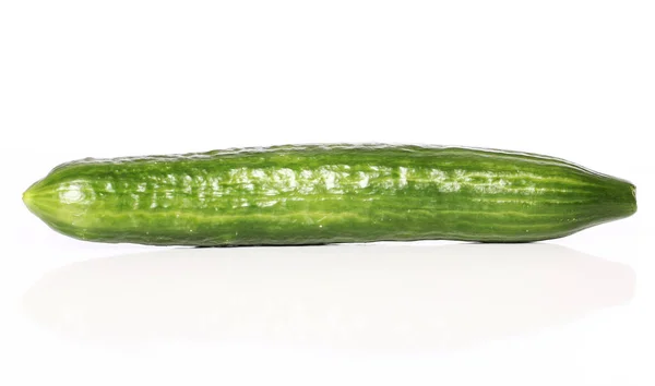 Fresh Green Cucumber White Background — Stock Photo, Image