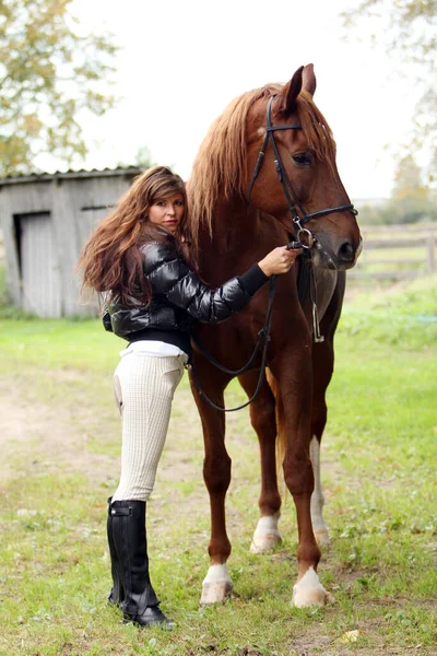 Женщина Красивая Коричневая Лошадь — стоковое фото