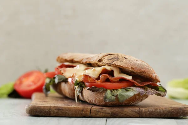 Delicioso Sándwich Largo Con Queso — Foto de Stock