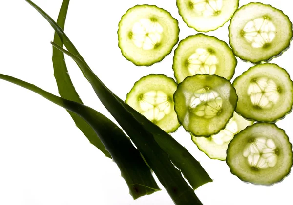 Grüne Gurke Mit Aloe Auf Weißem Hintergrund — Stockfoto