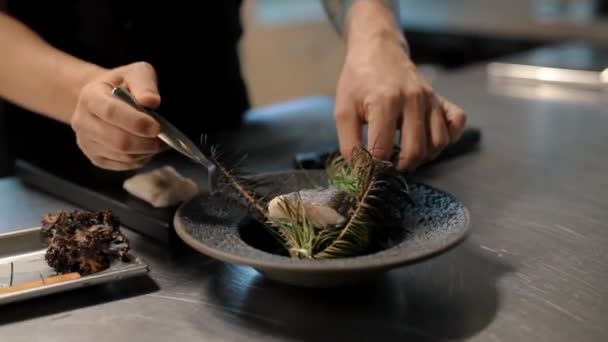 Food Plate Dinner Delicious Codfish Plate — Stock videók