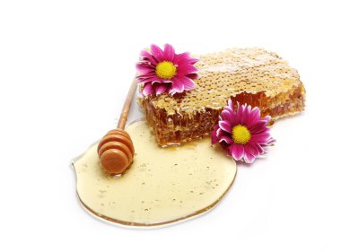 Taze bal peteklerini kapatın.