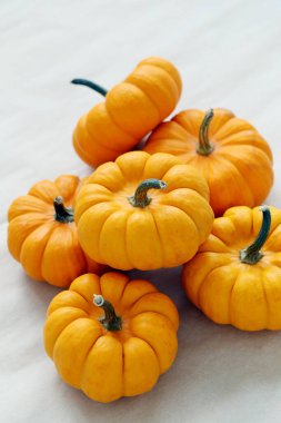 Beyaz bir yüzeyde bir sürü küçük balkabağı