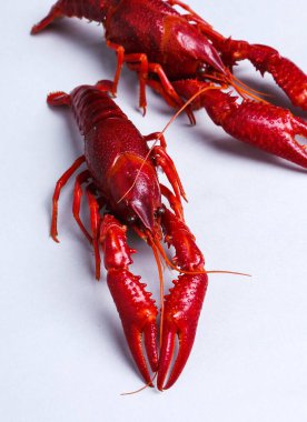 Yiyecekler. Beyaz arka planda lezzetli kerevit