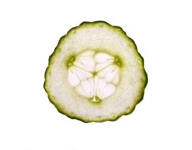 Beyaz arkaplanda yeşil salatalık