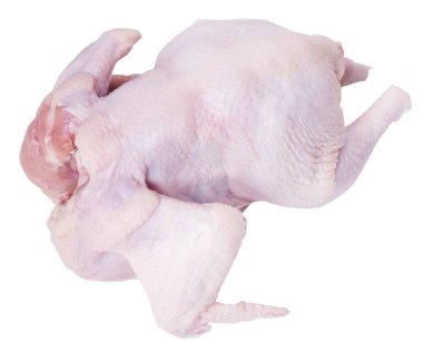 Beyaz arka planda çiğ tavuk