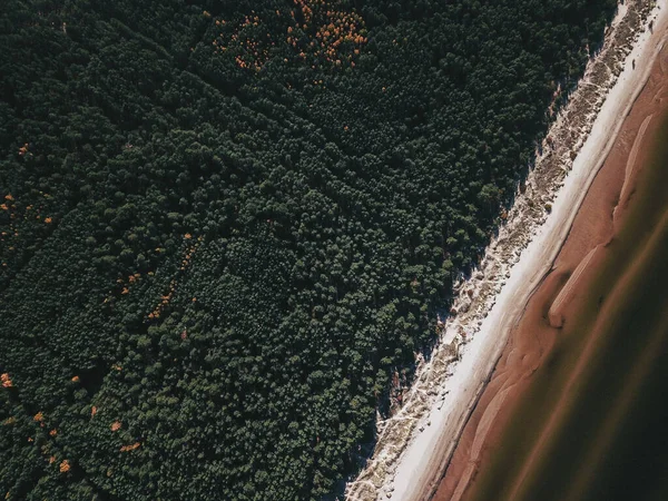 Bird's-eye view. Aerial view of beach