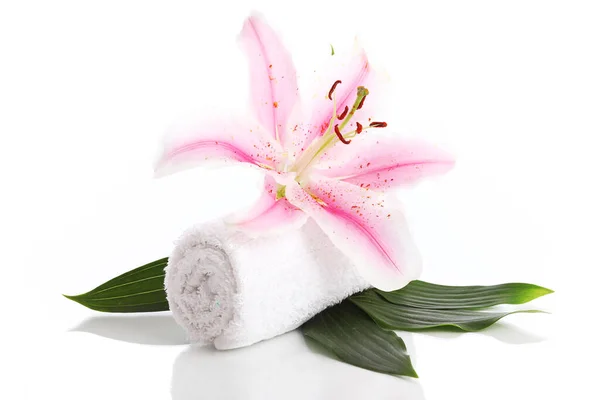 Asciugamano Rosa Giglio Fiore Sfondo Bianco — Foto Stock
